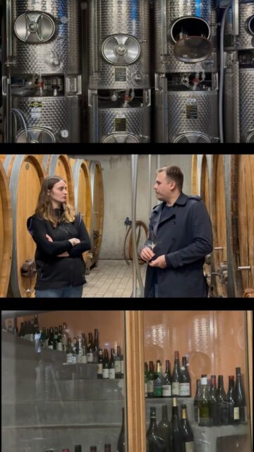 Marque d’origine Alsacienne, Le Cercle des Arômes est un fidèle partenaire des domaines de la région📍

@bott_geyl à Beblenheim naît d'une rencontre de deux familles vigneronnes du Haut Rhin en Alsace et perpétue la recherche de l'authentique avec une culture en biodynamie et le respect de l'expression des vins de grands terroirs ✨ Retrouvez les cuvées du domaine dans vos Cercles 🍷

• L'abus d'alcool est dangereux pour la santé. À consommer avec modération •

#LeCercleDesAromes #WineLovers #BarAVin #VinsAuVerre #BottGeyl #DomaineBottGeyl #VinDAlsace #VinsDAlsace