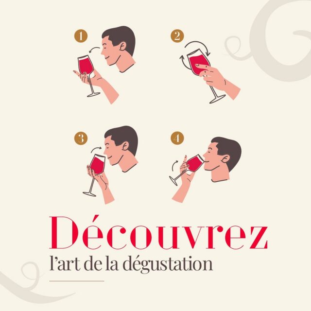L'art de la dégustation, le cœur de métier du Cercle des Arômes 🍷