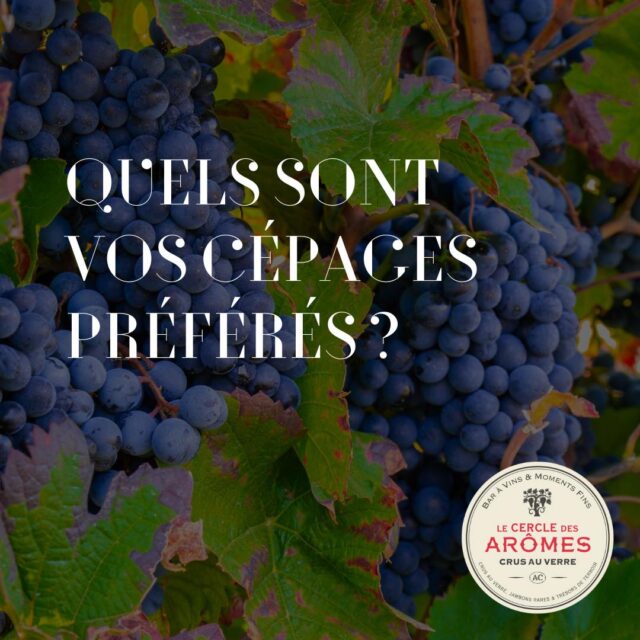 Et vous, quels sont vos cépages préférés ? 

Répondez en commentaire 😊

#vin #wine #baravin #vinauverre #licencedemarque