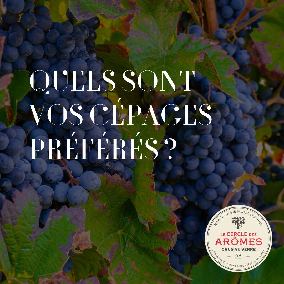 Et vous, quels sont vos cépages préférés ? 

Répondez en commentaire 😊

#vin #wine #baravin #vinauverre #licencedemarque