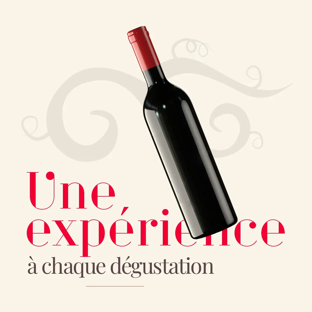 L'expérience de pouvoir déguster plus de 100 vins au verre 🍷